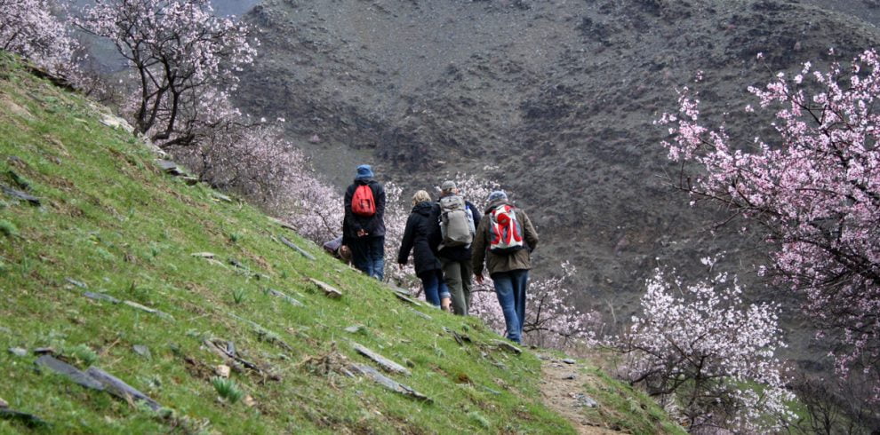 Usbekistan Reisen - Kultur und Natur