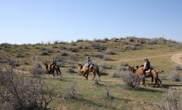 Kamelenreiten auf der Wüste Kysylkum