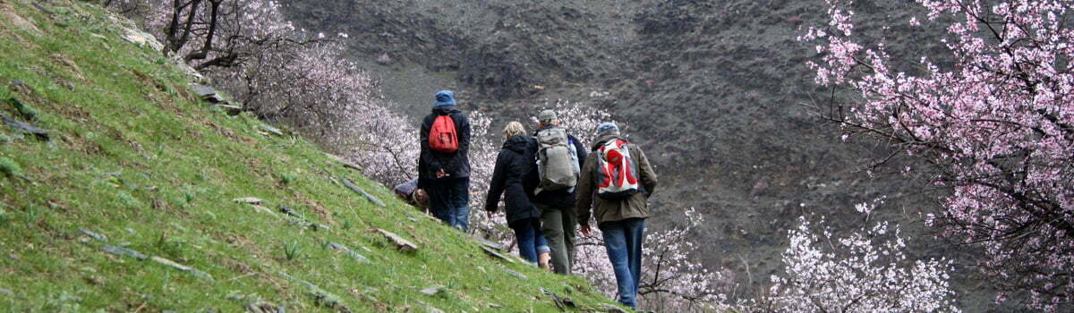 Klima und Wetter in Usbekistan