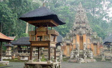 Affenwald auf Bali, Indonesien