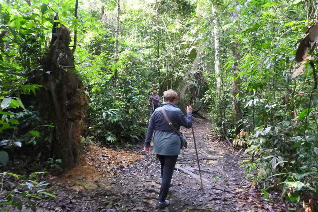 north-sumatra-trekking-1