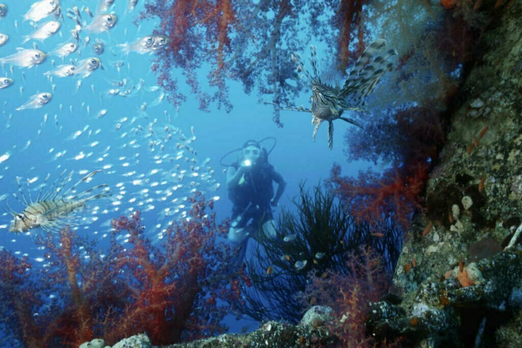 Aqaba