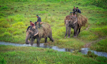 Chitwan National Park, Nepal