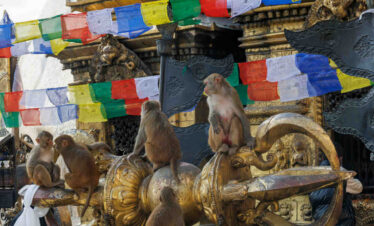 Swayambhunath in Kathmandu, Nepal