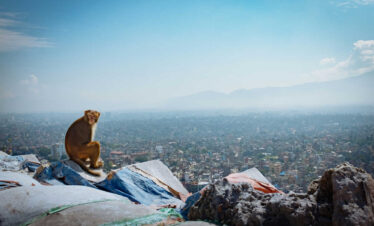Swayambhunath, Kathmandu Nepal