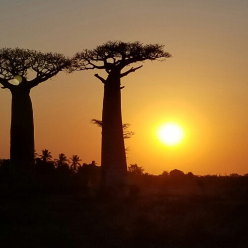Makgadikgadi