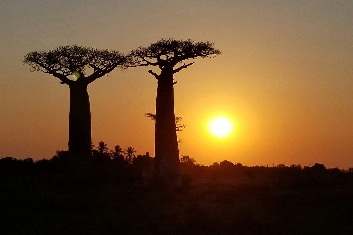 Makgadikgadi