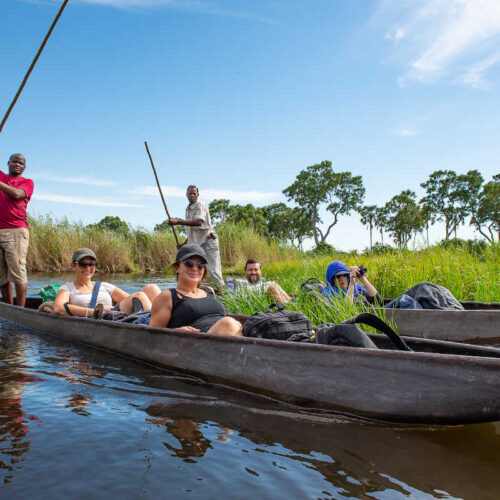 Botswana Safari