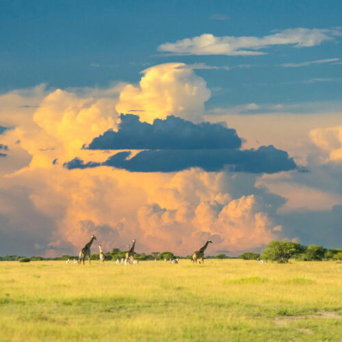 Botswana,