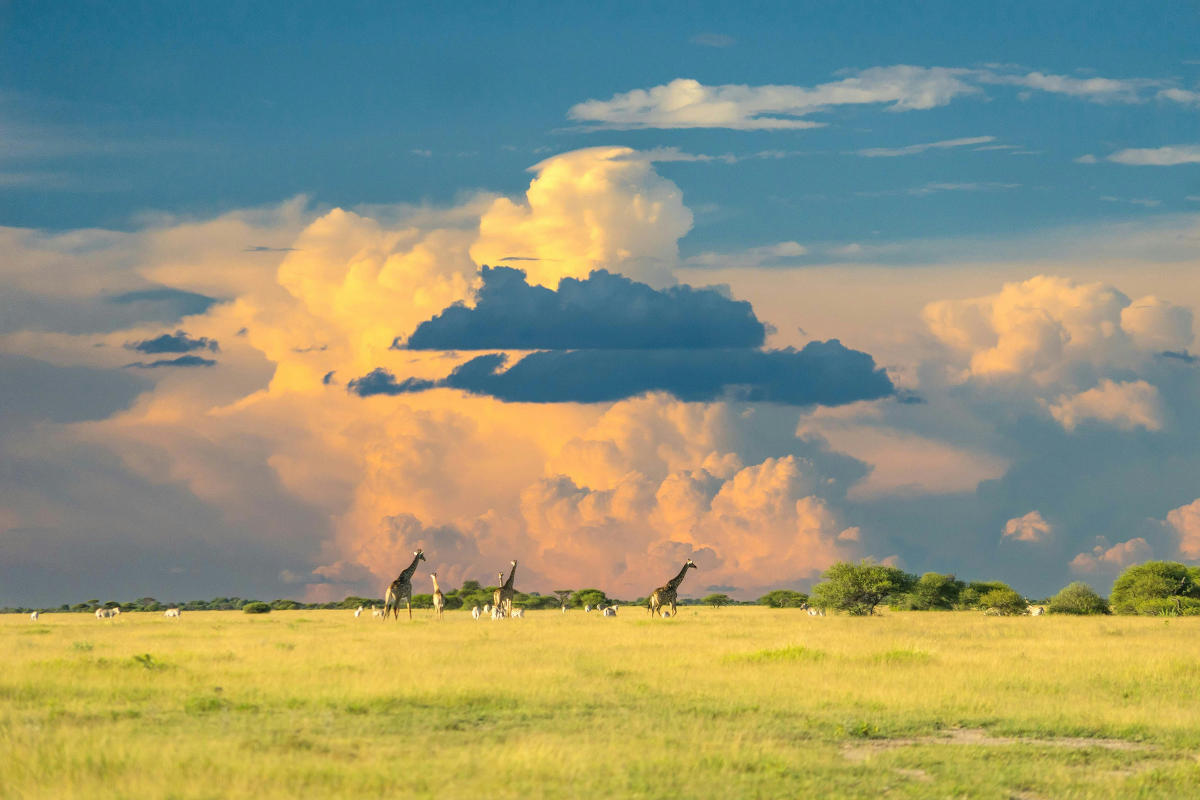 Botswana,