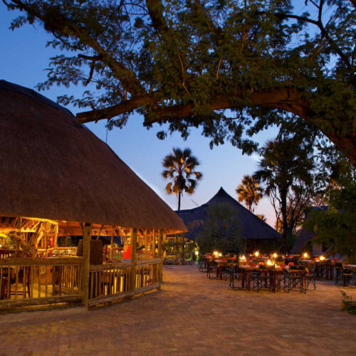 Botswana Safari