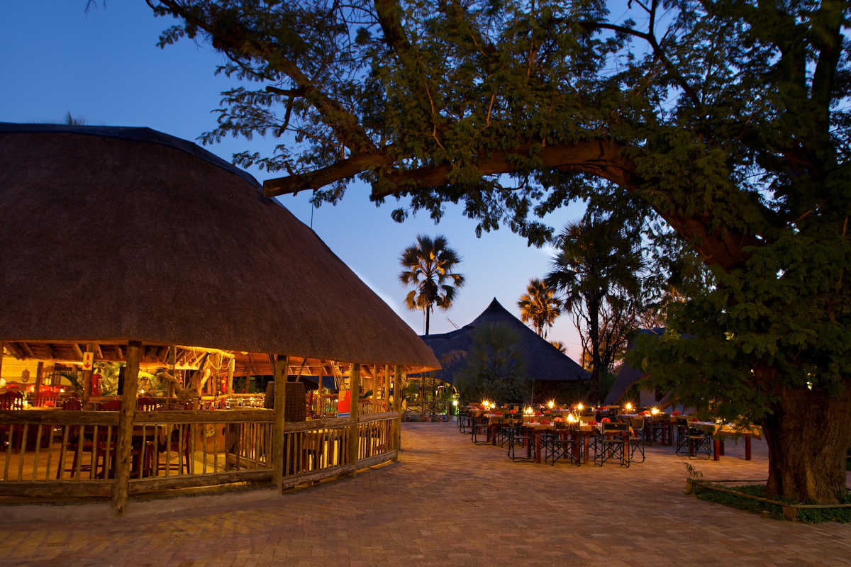 Botswana Safari